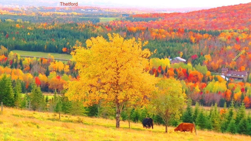 Le Gite Ambrelane Thetford Mines Kültér fotó