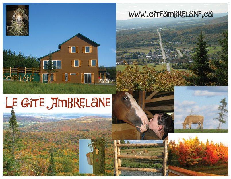 Le Gite Ambrelane Thetford Mines Kültér fotó