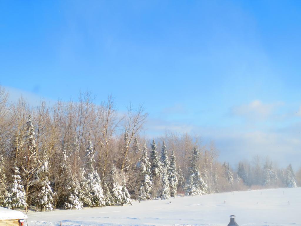 Le Gite Ambrelane Thetford Mines Kültér fotó