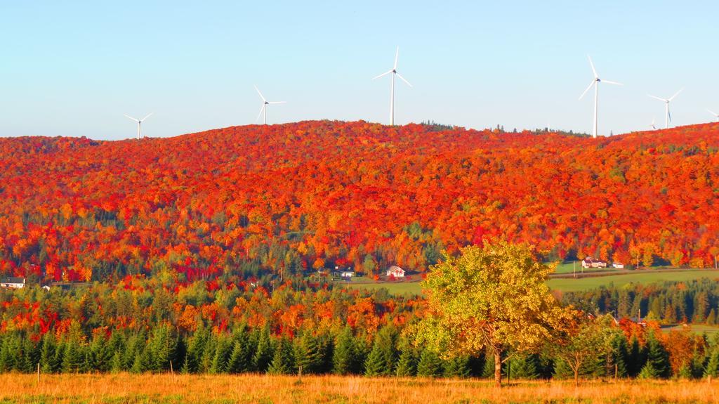 Le Gite Ambrelane Thetford Mines Kültér fotó
