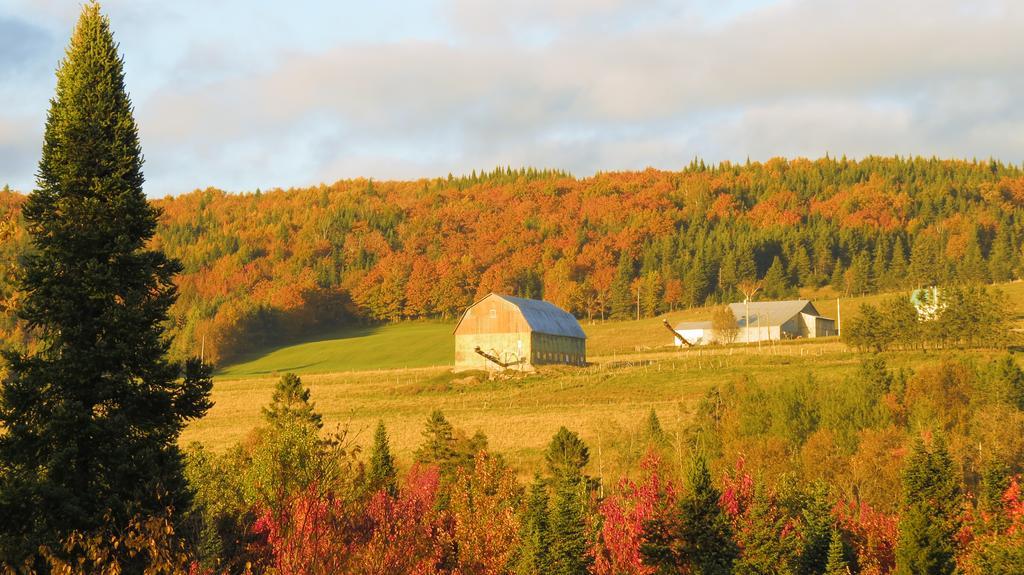 Le Gite Ambrelane Thetford Mines Kültér fotó